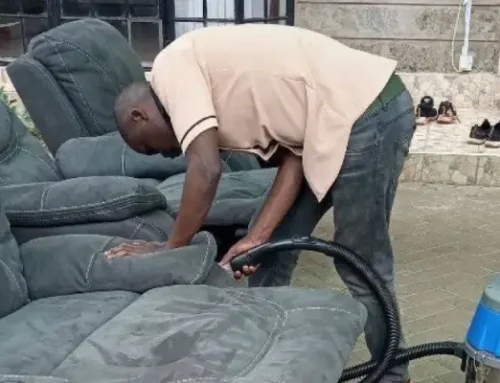 Sofa Cleaning