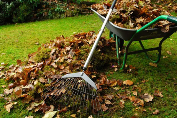 Compound and common area cleaning Kibali Cleaning Services